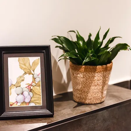 Apartman Oomph The Grand Group & Family Retreat